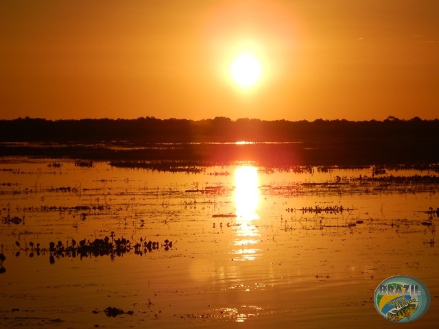 PIRA LODGE - Pantanal Argentino - Temporada 2.016